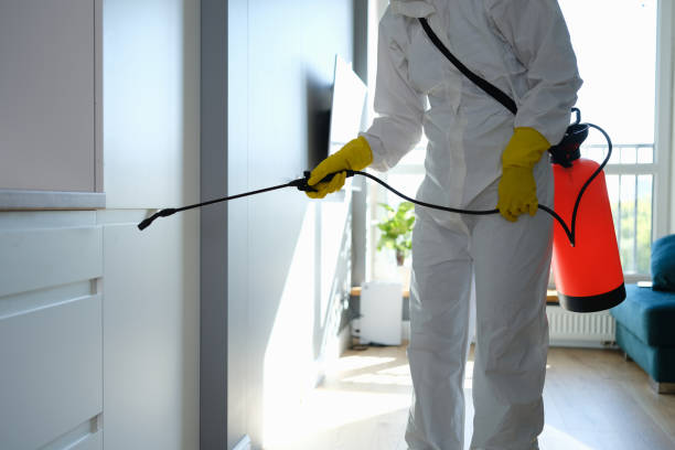 Certified Mold Removal in South Salt Lake, UT